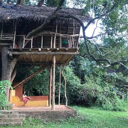 Villa Back Of Beyond - Wild Haven Sigiriya Exterior foto