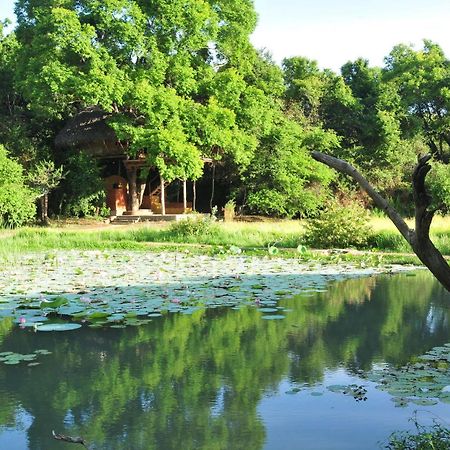 Villa Back Of Beyond - Wild Haven Sigiriya Exterior foto