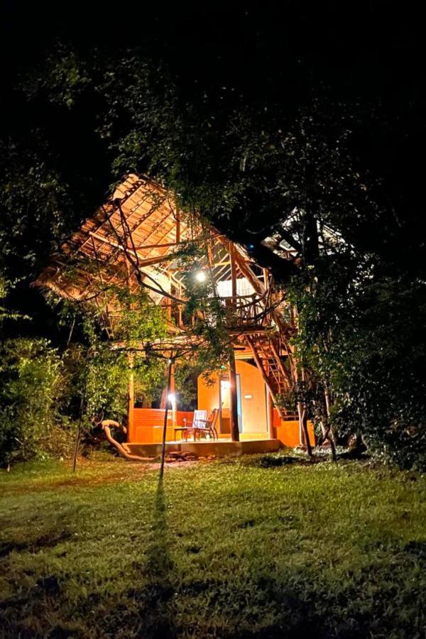 Villa Back Of Beyond - Wild Haven Sigiriya Exterior foto