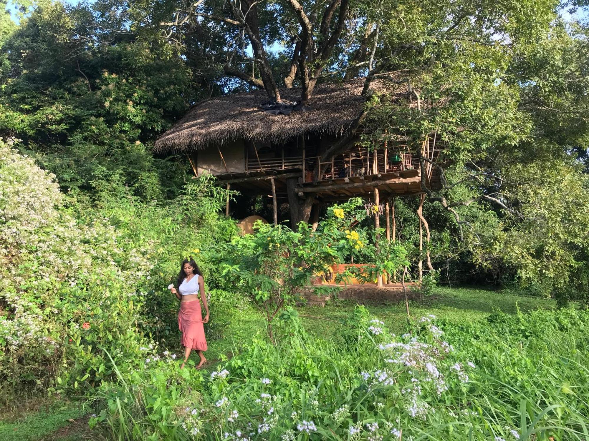 Villa Back Of Beyond - Wild Haven Sigiriya Exterior foto