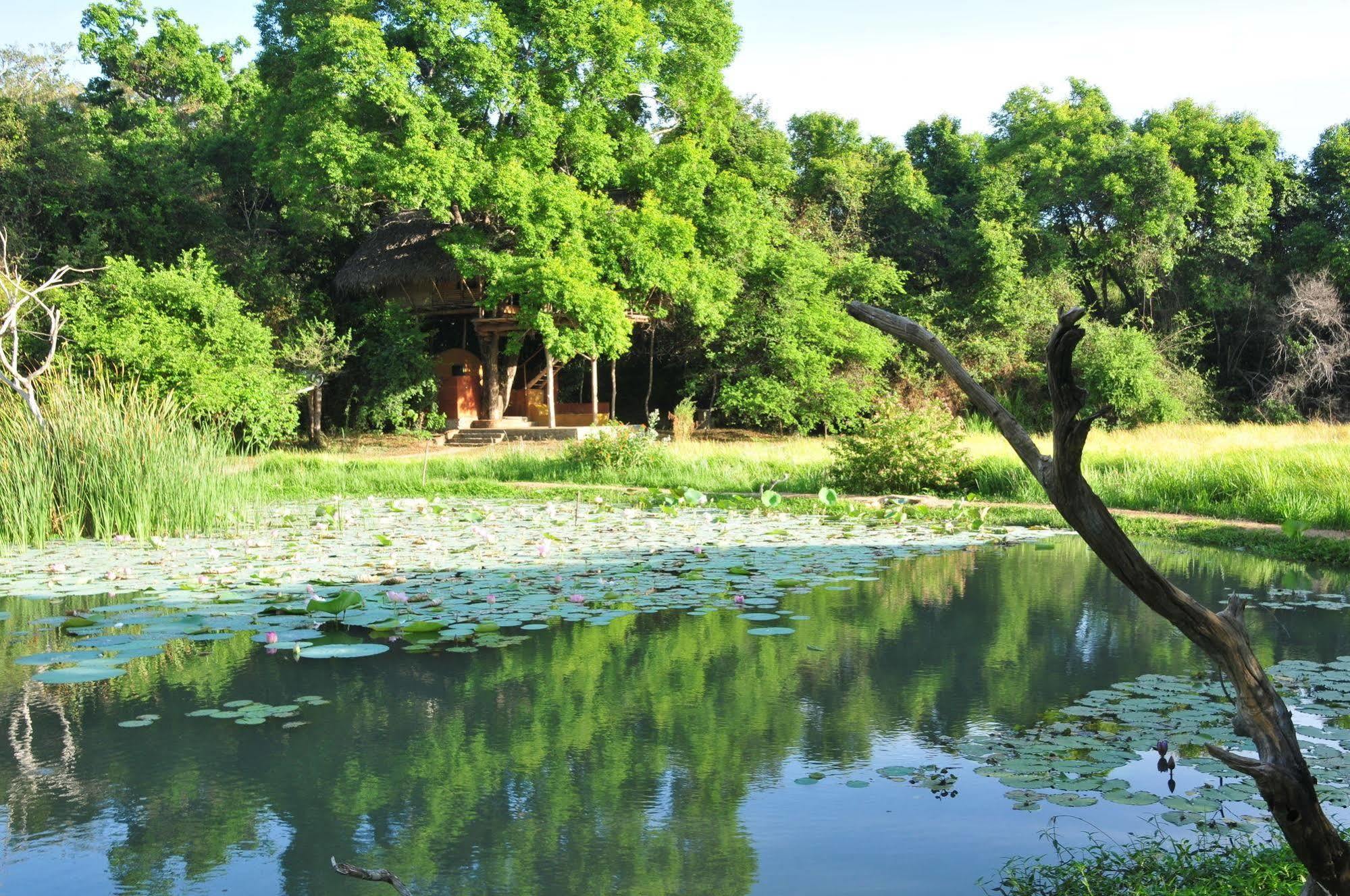 Villa Back Of Beyond - Wild Haven Sigiriya Exterior foto