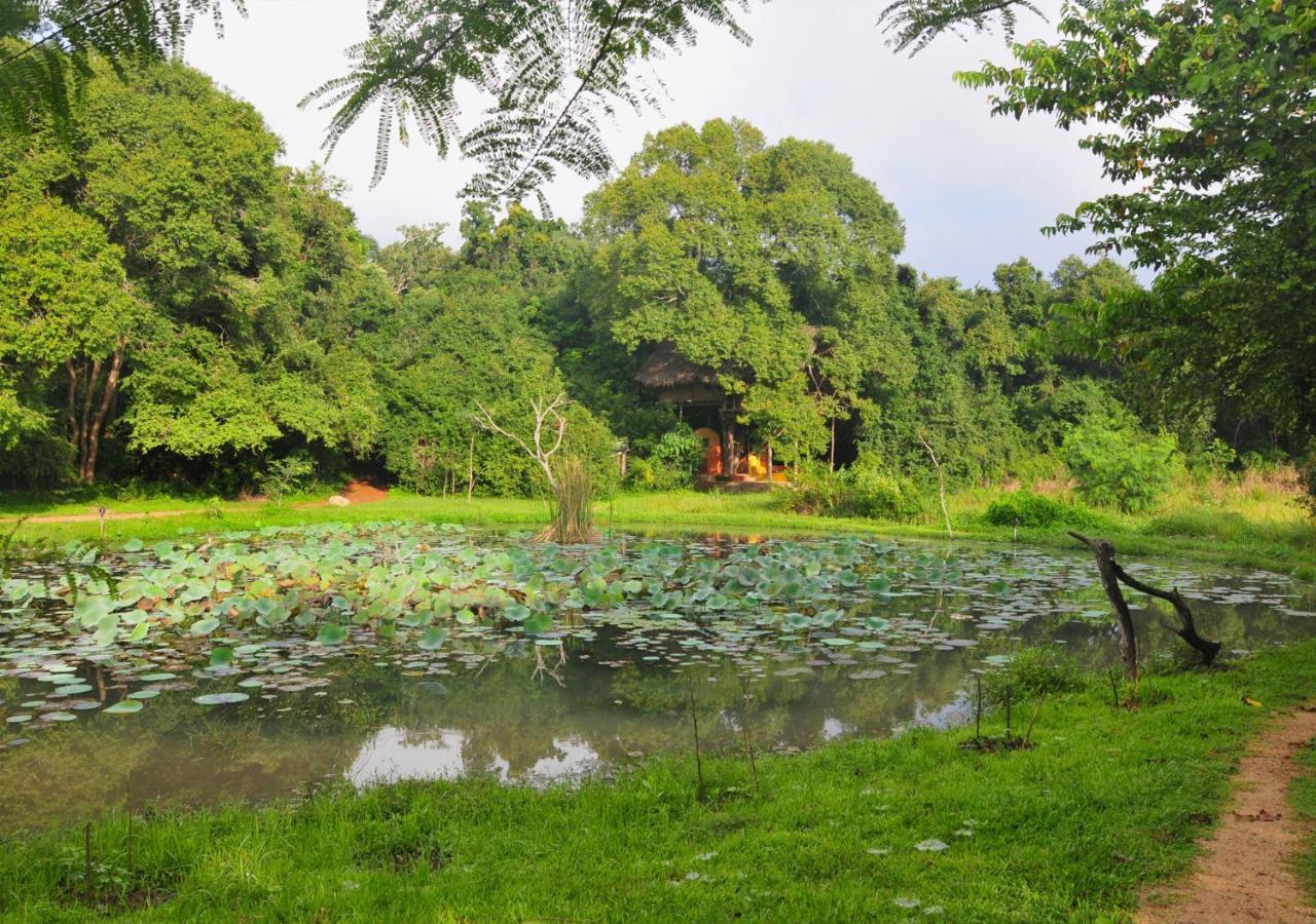 Villa Back Of Beyond - Wild Haven Sigiriya Exterior foto