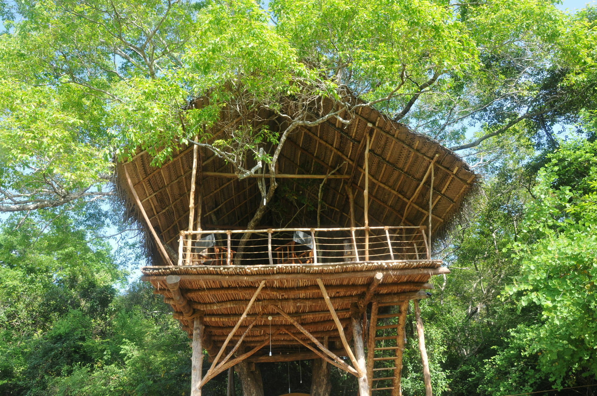 Villa Back Of Beyond - Wild Haven Sigiriya Exterior foto