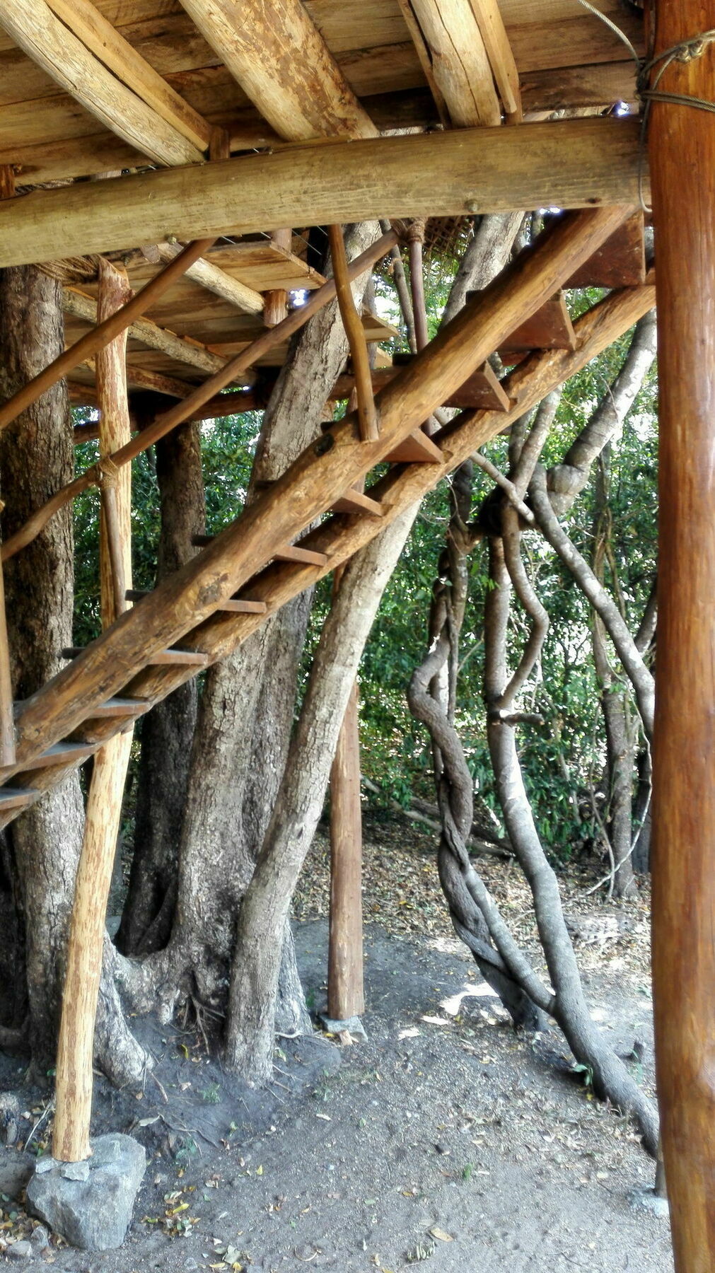 Villa Back Of Beyond - Wild Haven Sigiriya Exterior foto