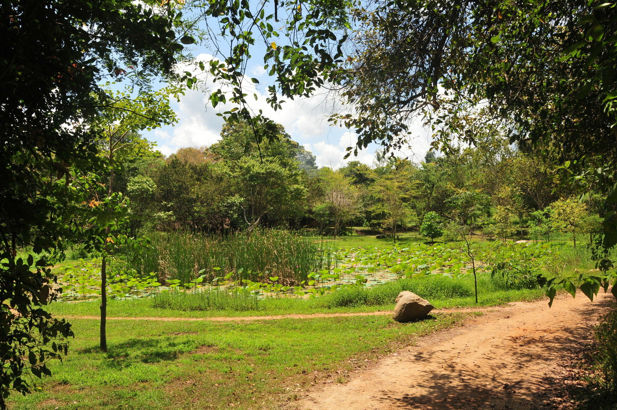 Villa Back Of Beyond - Wild Haven Sigiriya Exterior foto