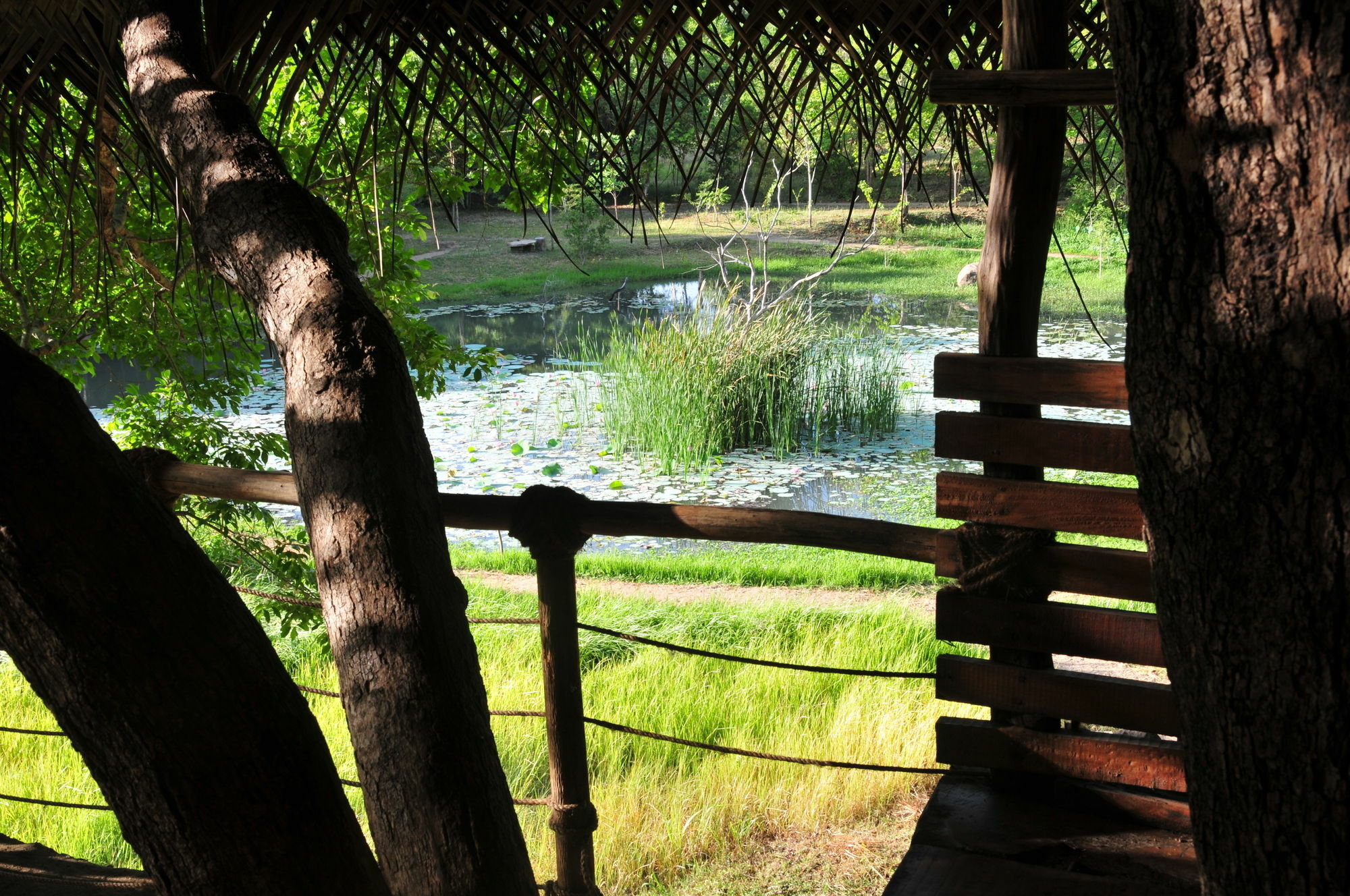 Villa Back Of Beyond - Wild Haven Sigiriya Exterior foto